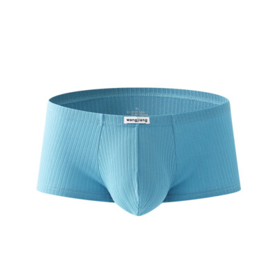 Men's Boxer Shorts Underwear Hipster Underpants Cotton Breathable Pouch Trunks