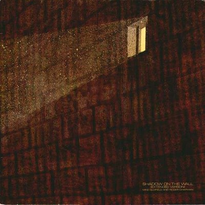 Mike Oldfield And Roger Chapman - Shadow On The Wall (Extended Vers Vinyl 221895