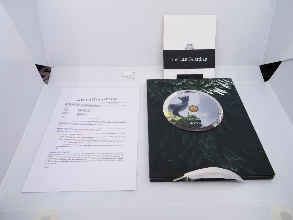 5 detalles que hacen destacar a The Last Guardian – PlayStation.Blog en