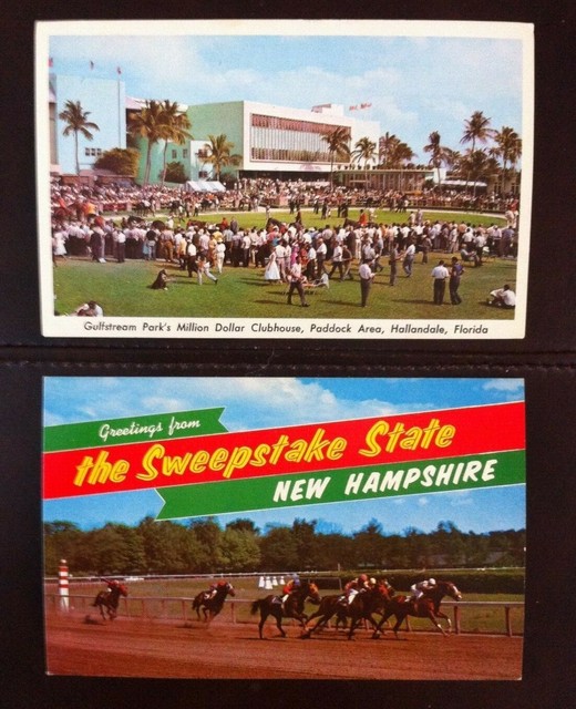 Vintage Horse Racing Post Cards (2) Unused eBay