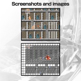 Ghosts 'n Goblins & Makaijima (Pirate Ship Higemaru) Famicom / FC [Japanese NES]