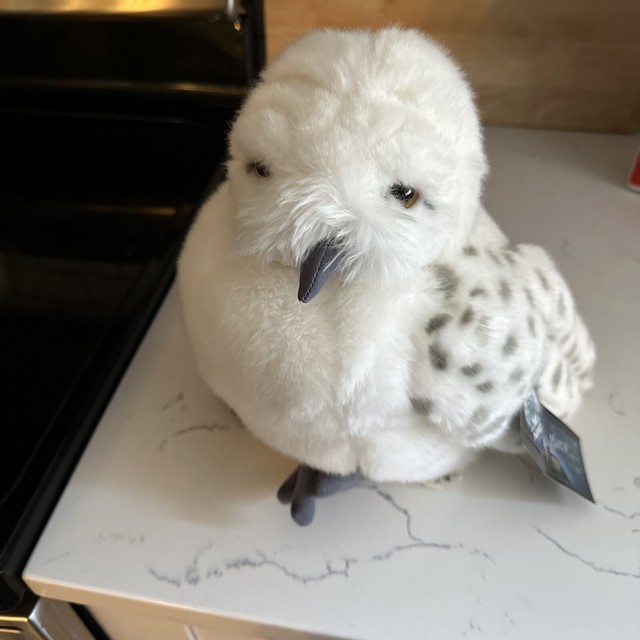 hedwig puppet universal studios