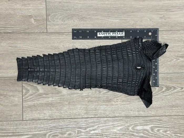 Black Genuine Crocodile Belly Tail Hide Leather Skin real alligator Croc 621 - Image 2 of 4