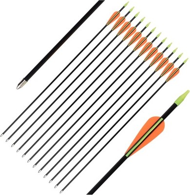 Archery Fiberglass Arrows 30'' Practice Arrows for Youth Beginner Target Shoot