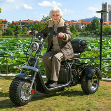 3000W powerful electric 3-wheeled vehicle with a max speed 28MPH max load 550IB