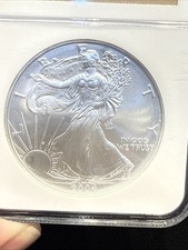 American Eagle MS 69 Graded 2004 Silver Bullion Coins for sale | eBay