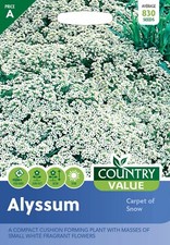 Alyssum Seeds Carpet Of Snow by Country Value FREE UK DELIVERY Flower Seeds
