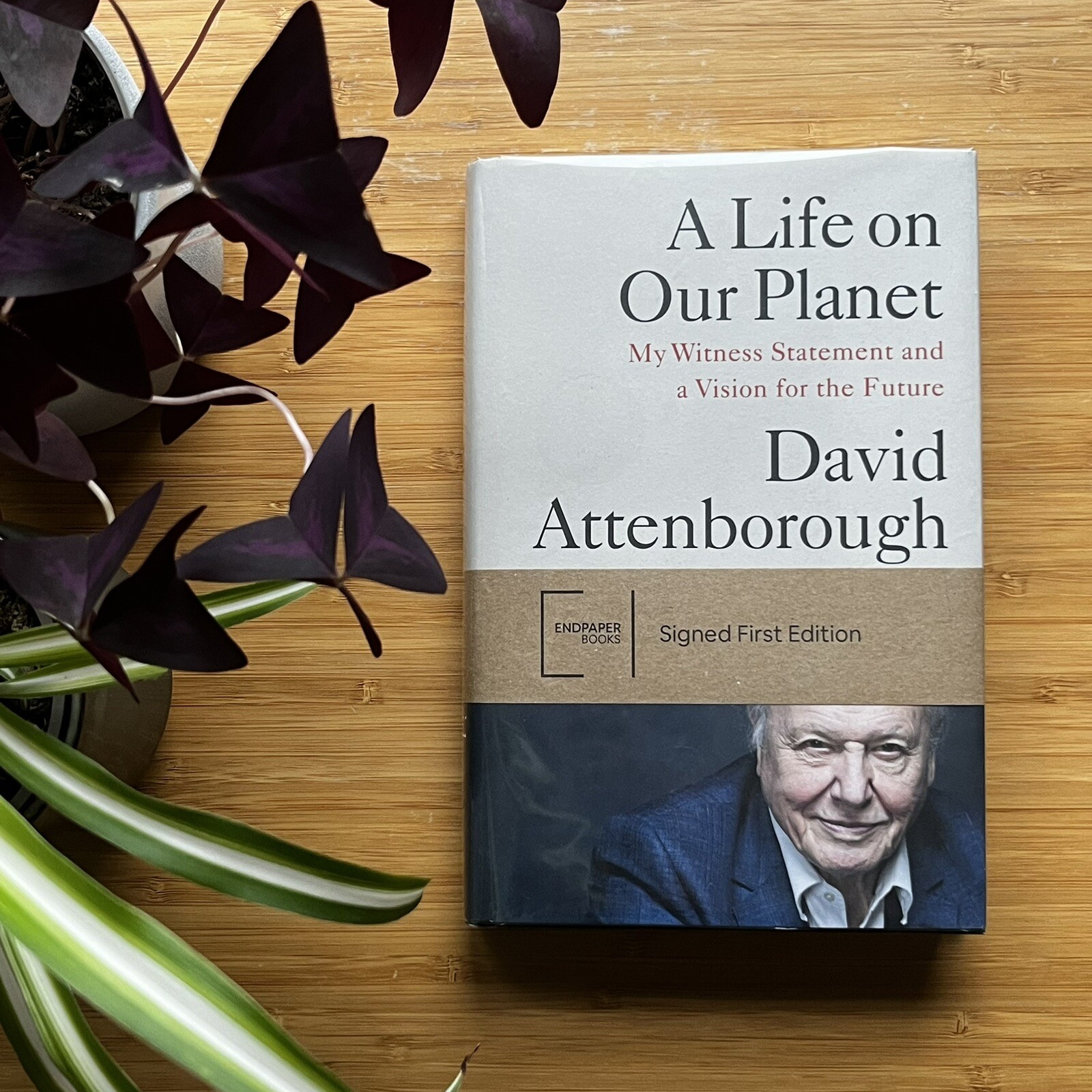 A Life on Our Planet | Signed by Sir David Attenborough | First Edition (UK)