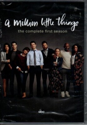 A Million Little Things: the Complete First (1st) Season (DVD, 2018) NEW, sealed