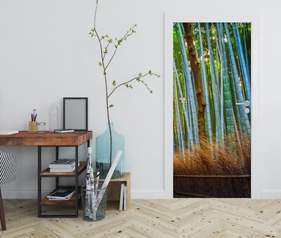 farbiger bambus Wuchernder Schwarzer Bambus kaufen | Phyllostachys nigra main image 1