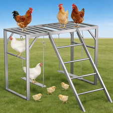 Durable Chicken Swing Perch Set with Ladder for Coop Enrichment and Exercise