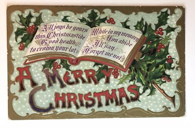 Open Book Forget Me Not Gold Embossed Merry Christmas Winsch Back Antique PC