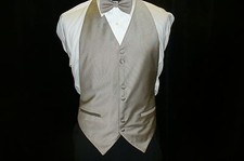 Rainbow Formal Vest Backless - Champagne V559