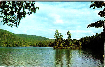 Postcard NY Lake Luzerne Adirondack State Park Panoramic Mountains Reflection