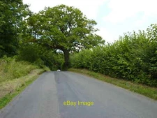 Photo 6x4 A road through a wood Goosehill Green Goosehill Lane, Goosehill c2015