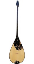Dombyra. Dombyra is a professional Kazakh musical instrument