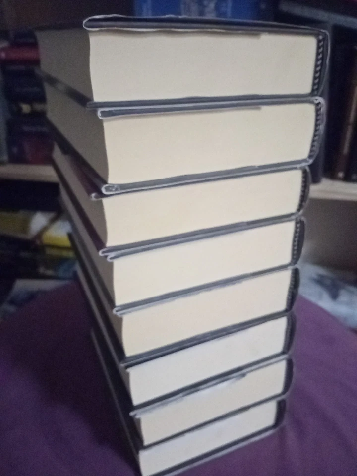 ANDRZEJ SAPKOWSKI THE WITCHER 8 VOLUMI SAGA COMPLETA EDITRICE NORD - Immagine 2 di 4