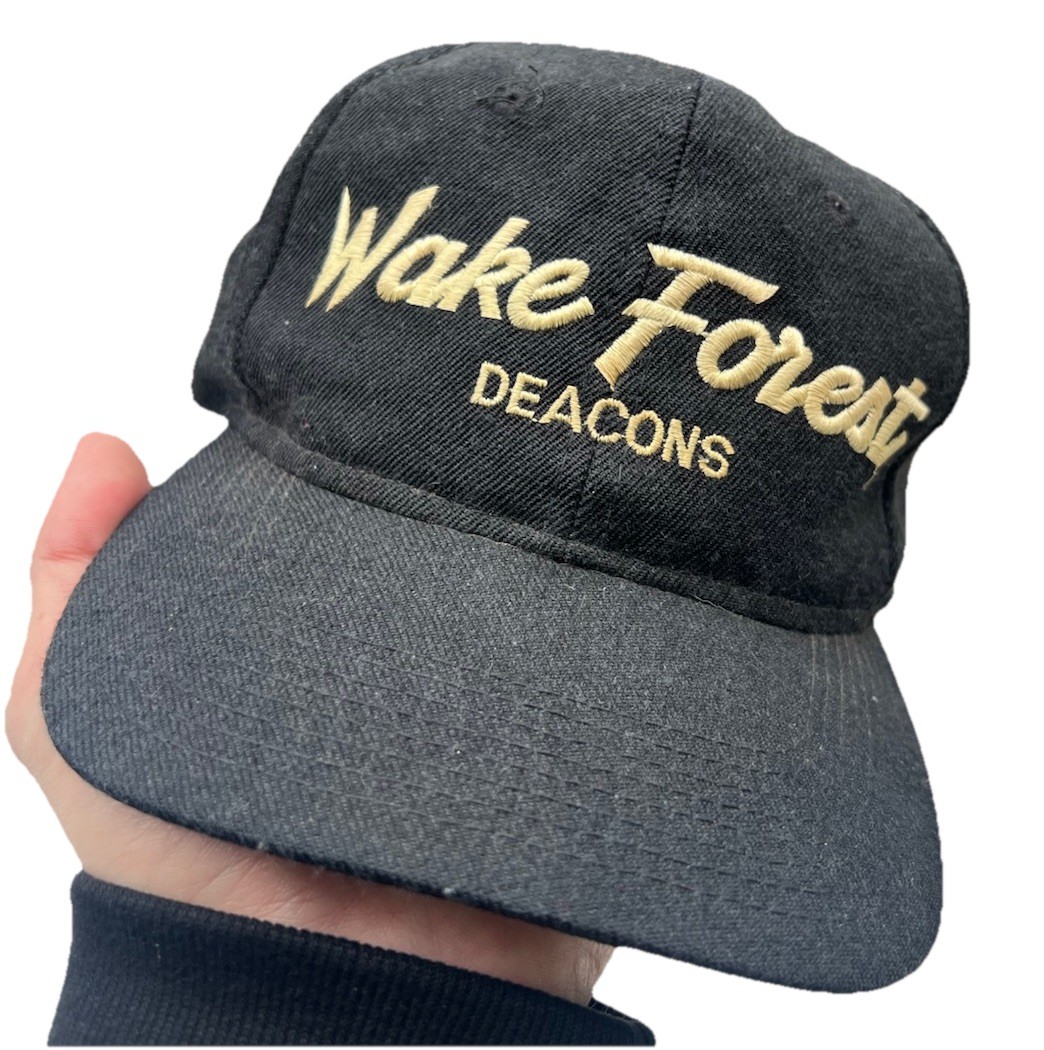 Vintage Wake Forest Single Line Script Sports Spe… - image 1