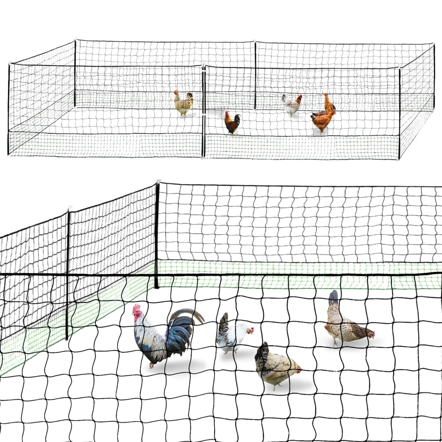Clôture filet à poules 12 M avec porte intégrée et piquets double pointe pour volailles