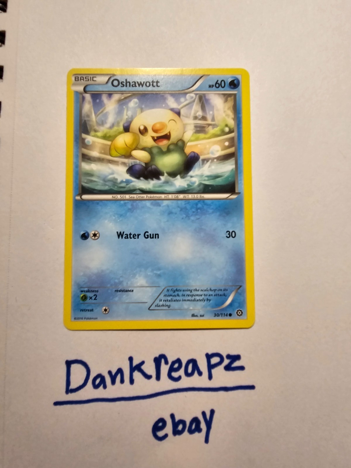 Oshawott 30/114 XY-Steam Siege Regular