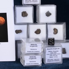 Eine Meteorit Amgala 001 Martian Shergottite Mars Zertifikat / COA Booklet