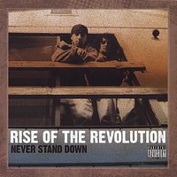 Audio Cd - Rise Of The Revolution - Never Stand Down - Cd Baby -D- Neu