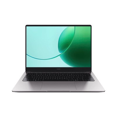 HONOR Magicbook X16 AMD 2025 16 Zoll AMD R5 6600H 16GB+512GB Cloud Gray - UK
