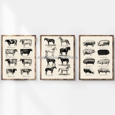 Triptychon 3er Set Bauernhoftiere Arten Kunstdrucke Poster Wandbilder Rustikal Bauernhof
