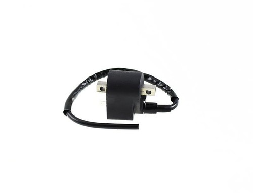 Bobine D'allumage De Rechange De Haute Qualité Durable Pour