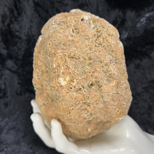Unopened Geode 5-1/2” Large Fossil Quartz Crystal Rattler Uncut Break Your Own - Picture 4 of 11