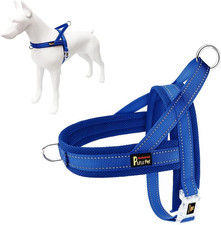 Plutus Pet Dog Harness, Mesh, Breathable, Padded, Adjustable : Various Sizes/Col
