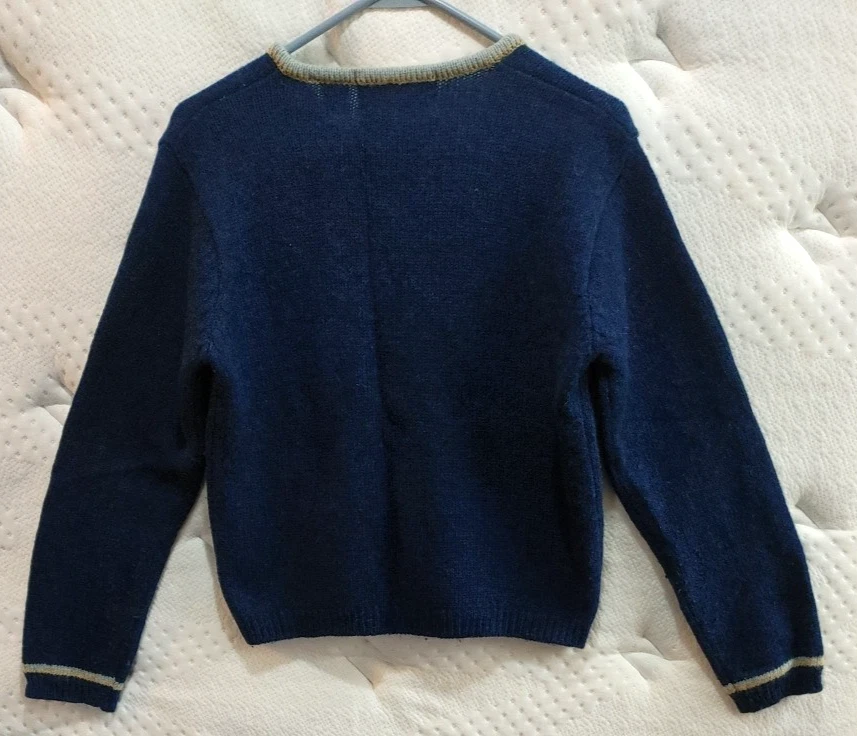 Suéter Reference Point Azul Mediano 100% Lana Shetland Manga Larga Cuello en V-Como Está Foto 2 de 4