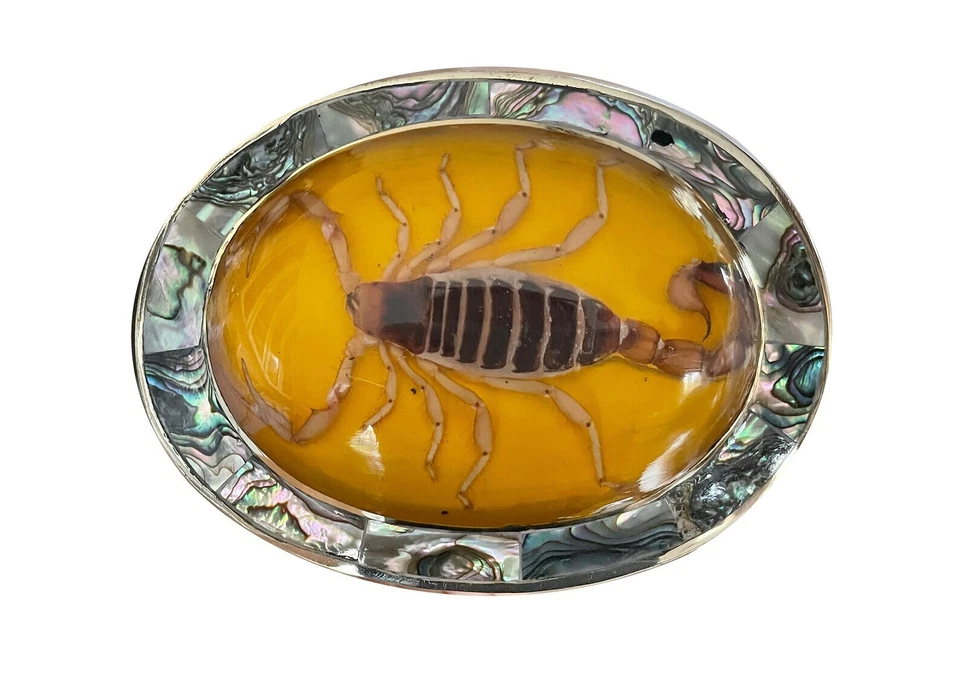 Hecho México Escorpión Real Vintage Western Hebilla Cinturón RODEO HOMBRES METAL AMARILLO - Imagen 4 de 4