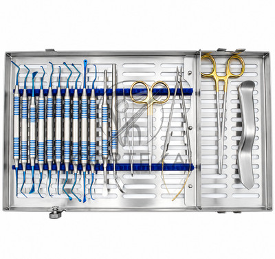 Dental Implant Periodontal Surgery Instrument Kit w Sterilization Tray