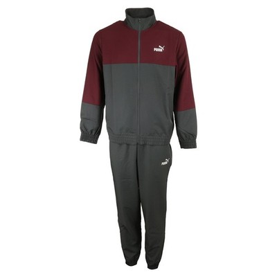 Kleidung PUMA Herren Woven Colorblock grau