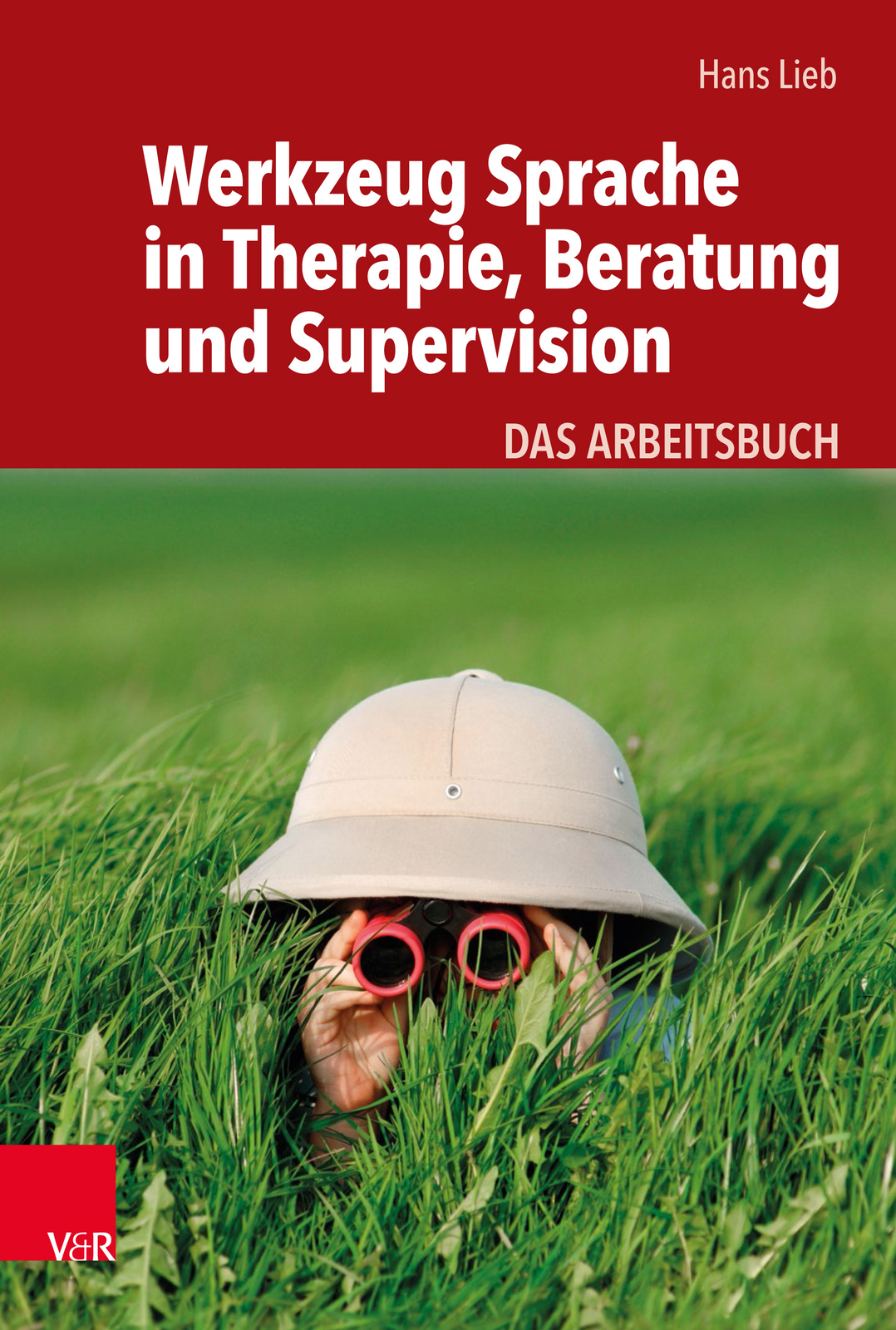 Hans Lieb / Werkzeug Sprache In Therapie, Beratung Und Supervision