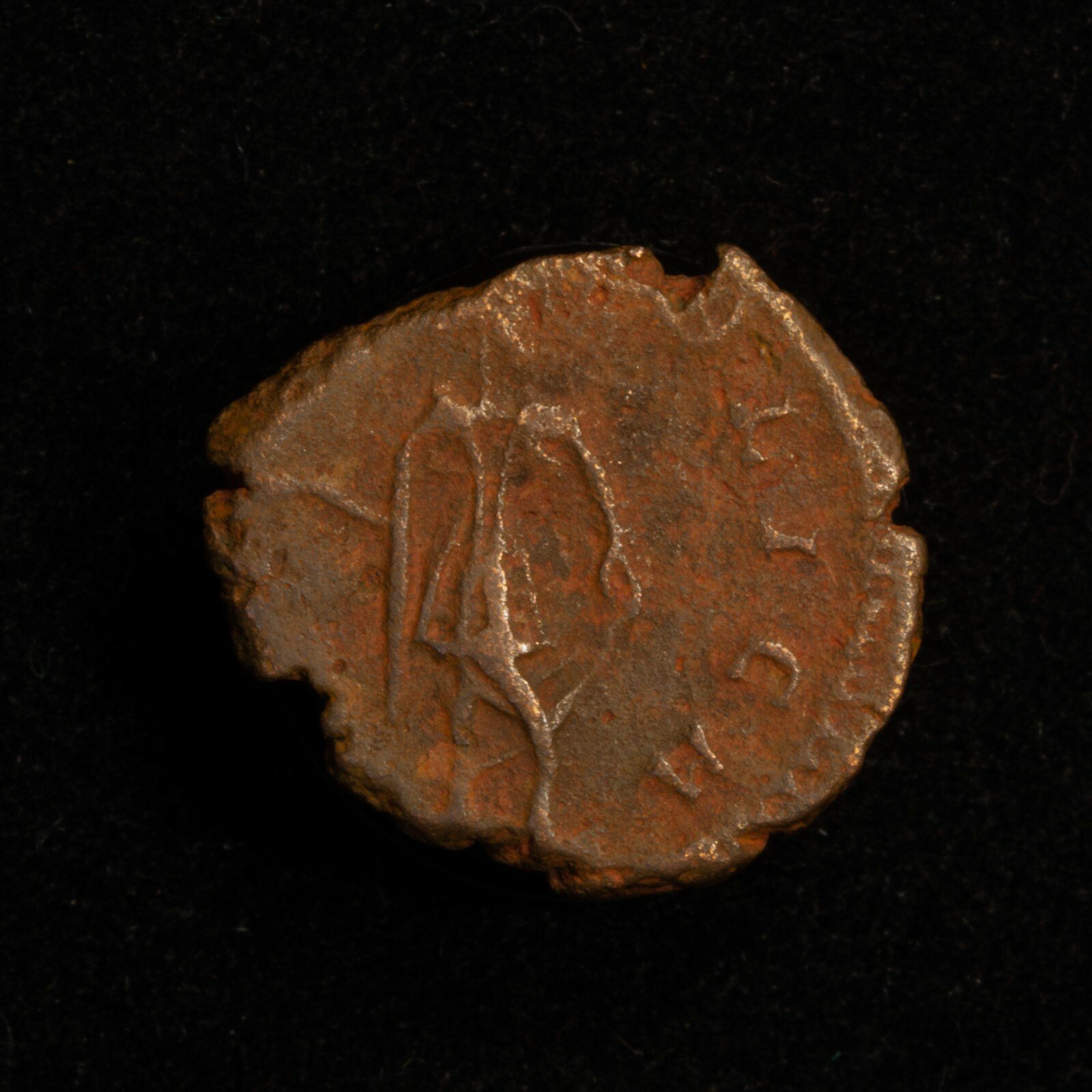 Picture 4 of 6