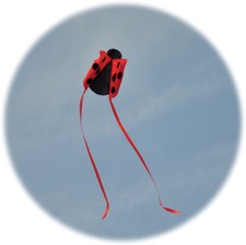 Spirit of Air Pocket Ladybug Kite