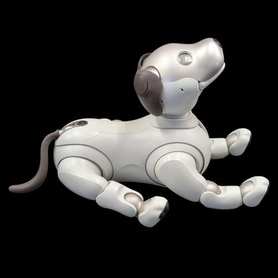 Sony AIBO ERS-1000 Entertainment Robot Dog Ivory White From Japan