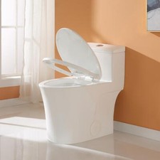 HOROW Modern Dual Flush Elongated One Piece Toilet ADA Comfortable Seat Height
