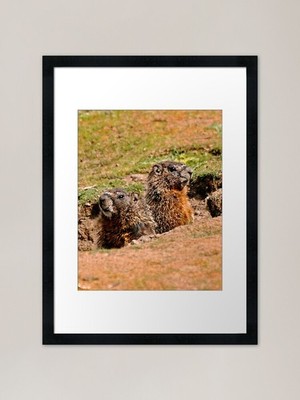 got your back Framed Art Print Framed Wall Art Poster Canvas Print Picture
