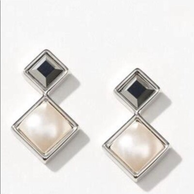 Touchstone Crystal by Swarovski GREYED OUT Earrings Crystals Rhodium Plating