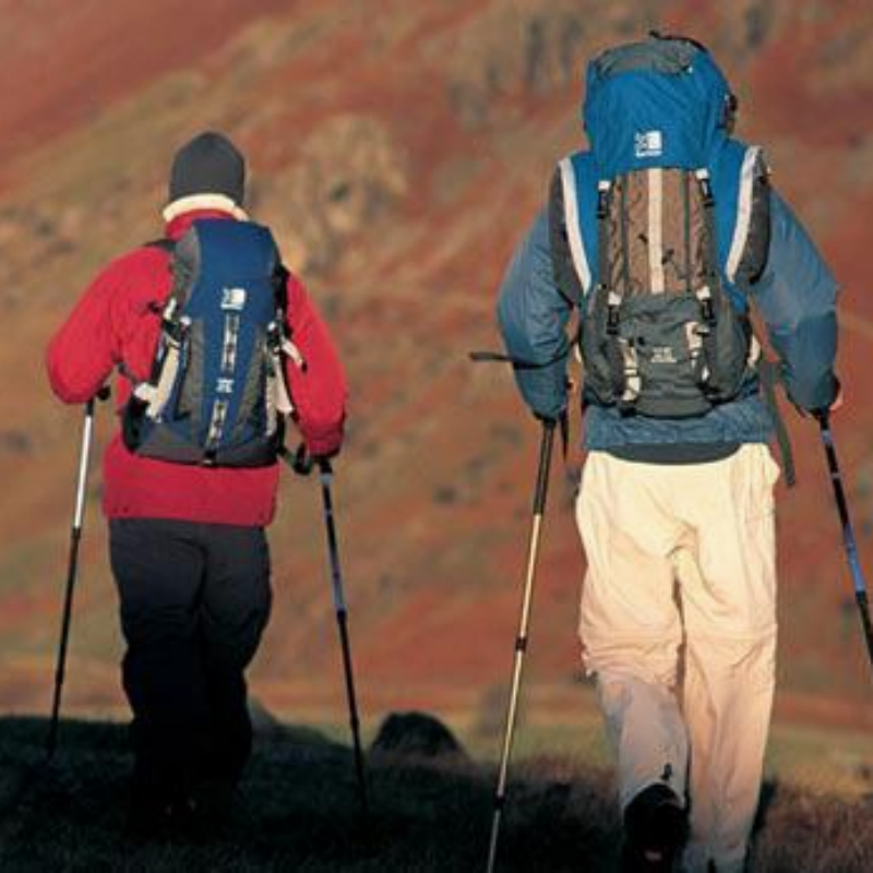 Adjustable & Folding Walking Cane - Aluminum Alloy, Collapsible For Travel & Hiking