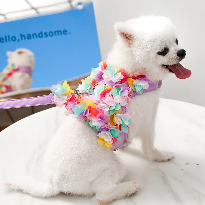 Dog Harness With Leash Adjustable Soft Padded Pet Vest Flower Lace For Small