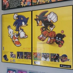 FRAMED 2001 Sonic the Hedgehog Adventure 2 GameCube GBA Video Game Wall Art