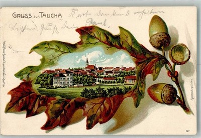 13588047 - 7127 Taucha Oak Leaf Taucha 1904