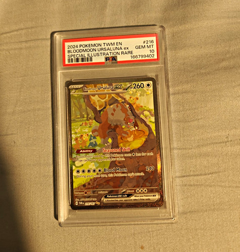 PSA 10 Twilight Masquerade Bloodmoon Ursaluna ex SIR Holo 216/167 pokemon card