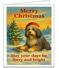 Bearded Collie Christmas Cards - Set of 6