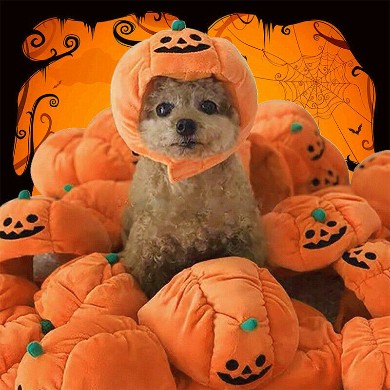 Halloween Pet Costume Cat Dog Puppy Funny Pumpkin Hat Party Dress