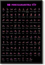 Pose Kamasutra Instruction Poster Sex Guide Workout Wall Art Illustrated